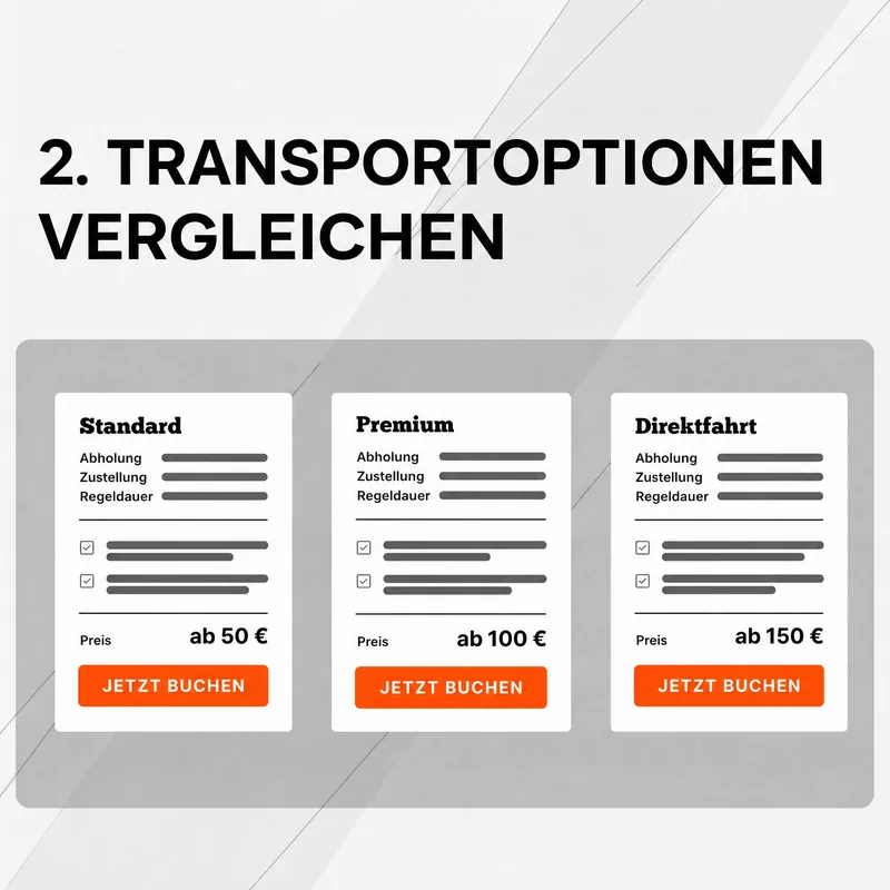 Schritt 2: Transportoptionen vergleichen – Standard, Premium oder Direktfahrt